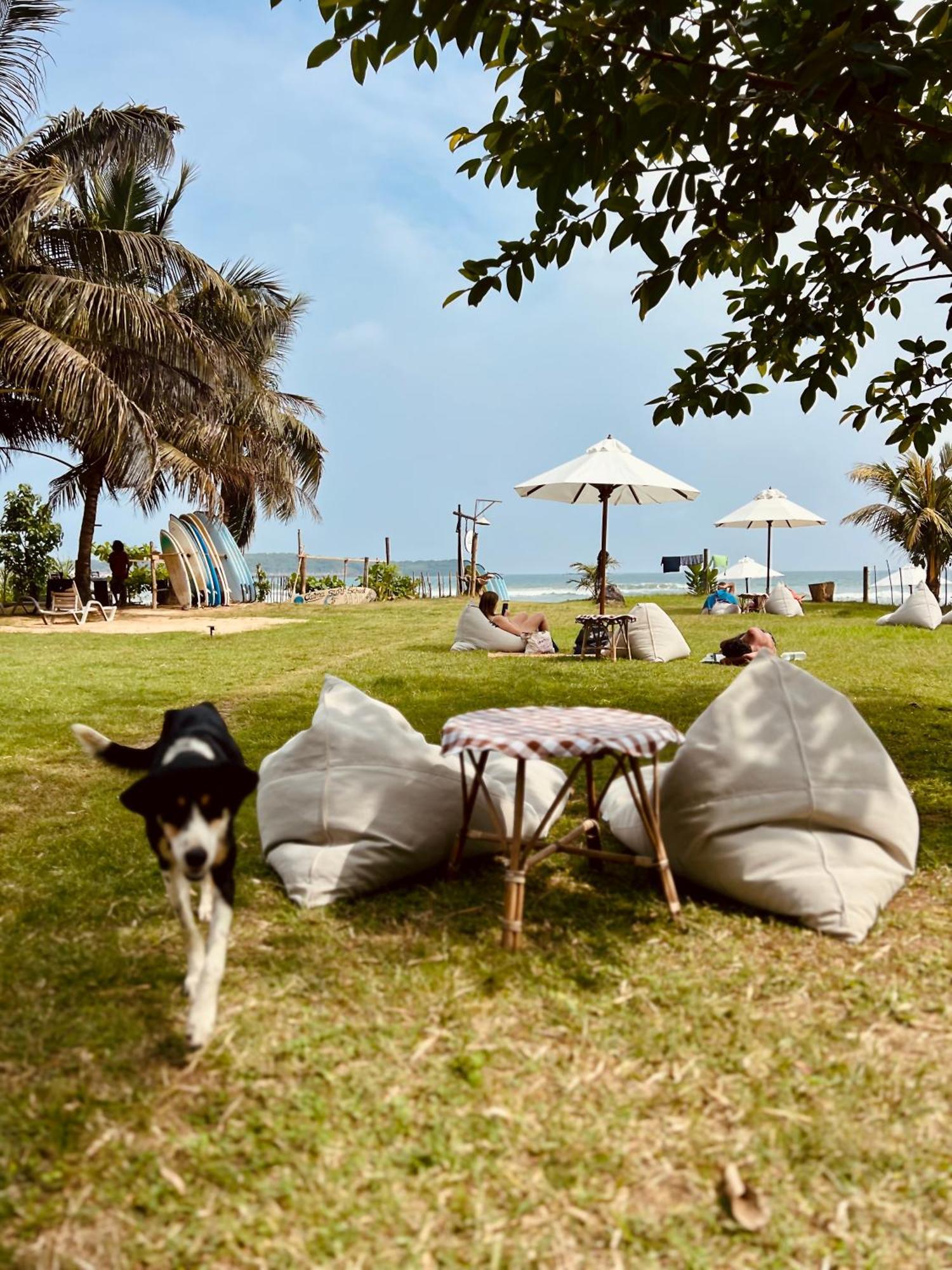 Calma - Surf, Yoga & Coffee On A Private Beach Dikwella Eksteriør bilde